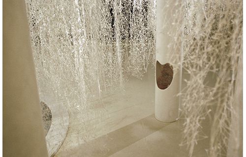 感覚ミュージアム ＜常設展＞ 感覚ミュージアム-8