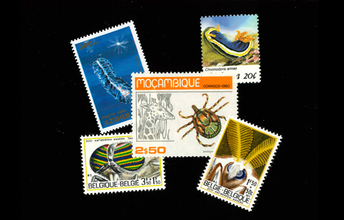 日本の昆虫と世界のキモアニ ミニ切手展 郵政博物館-1