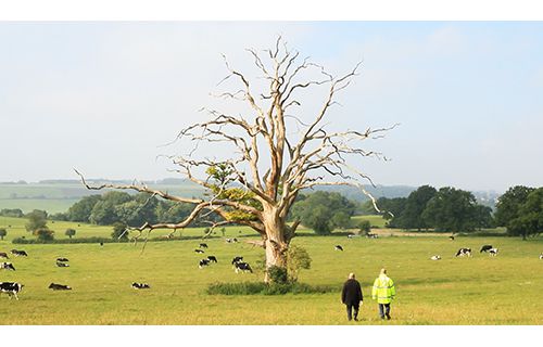 ジョン・ウッド＆ポール・ハリソン　説明しにくいこともある NTTインターコミュニケーション・センター［ICC］-4