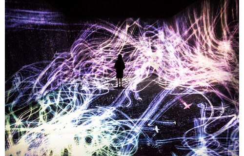 チームラボ 踊る！アート展と、学ぶ！未来の遊園地 高知県立美術館-1