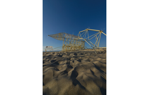 テオヤンセン展覧会 in 沖縄2017 沖縄県立博物館・美術館（おきみゅー）-3