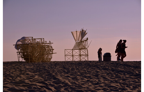 テオヤンセン展覧会 in 沖縄2017 沖縄県立博物館・美術館（おきみゅー）-4