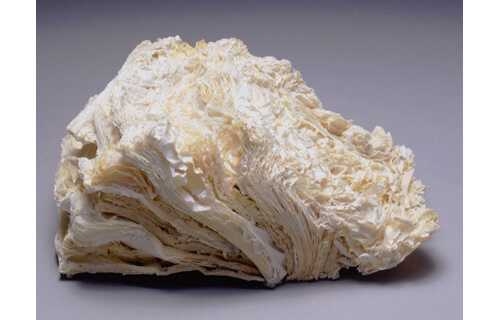 ここがみどころ スポットライト！うらわ美術館 うらわ美術館-4