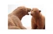 現れよ。森羅の生命― 木彫家 藤戸竹喜の世界展 札幌芸術の森美術館-1