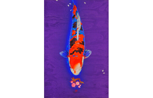 上野アーティストプロジェクト「現代の写実―映像を超えて」 東京都美術館-8