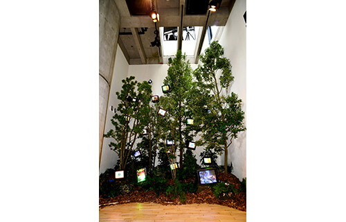 ビデオアートの父　ナムジュン・パイク展 鹿児島県霧島アートの森-6