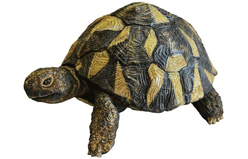 木彫りどうぶつ美術館　はしもとみおの世界 ヤマザキマザック美術館-4