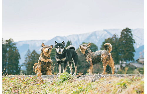 木彫りどうぶつ美術館　はしもとみおの世界 ヤマザキマザック美術館-1