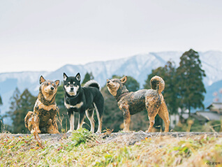 木彫りどうぶつ美術館　はしもとみおの世界