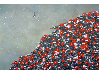 新しい年を祝う～日本画の醍醐味～