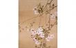 [企画展] 桜 さくら SAKURA 2018　―美術館でお花見！― 山種美術館-1