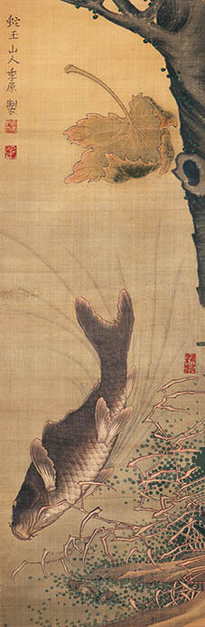 春の江戸絵画まつり リアル 最大の奇抜 府中市美術館-5