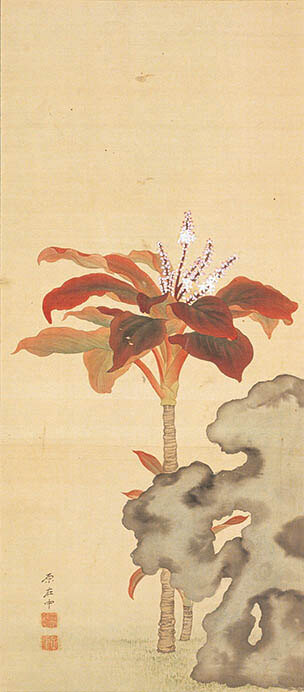 春の江戸絵画まつり リアル 最大の奇抜 府中市美術館-7