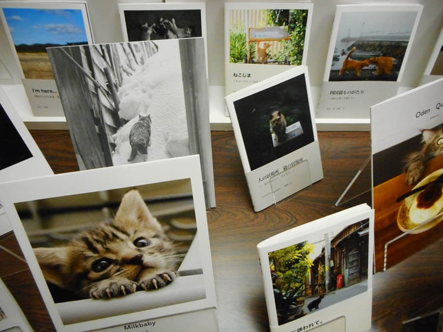 大佛次郎×ねこ写真展2018 大佛次郎記念館-3
