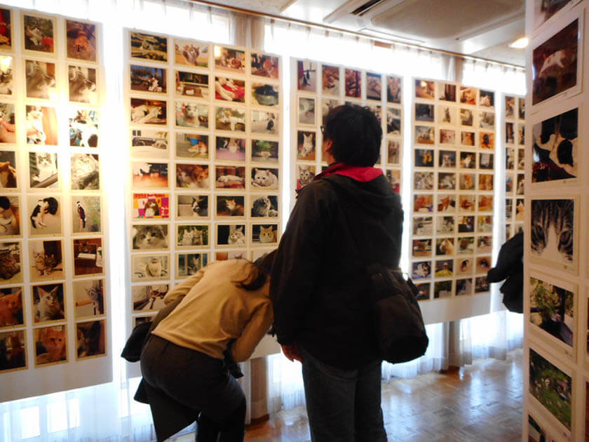 大佛次郎×ねこ写真展2018 大佛次郎記念館-4