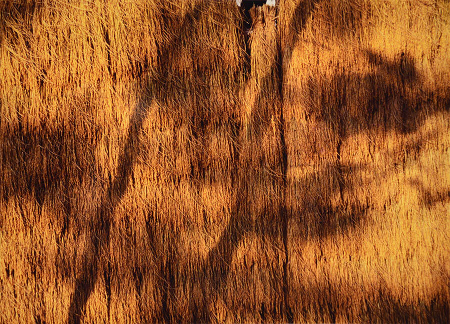 写真と幻想 石川県立美術館-5