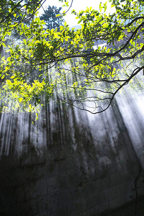 飯沼珠実―建築の瞬間／momentary architecture ポーラ美術館-1