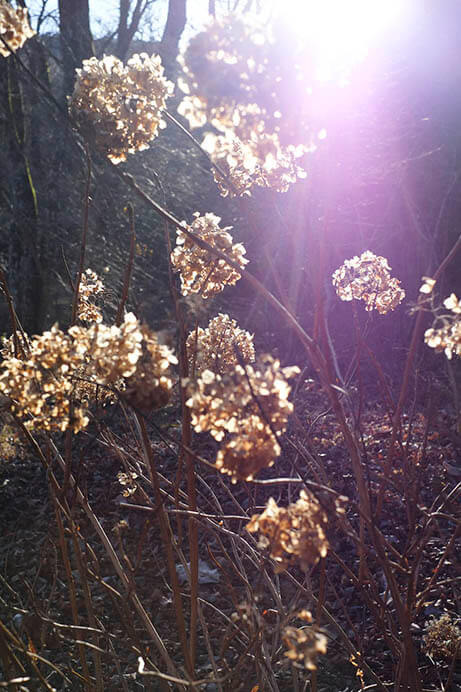 飯沼珠実―建築の瞬間／momentary architecture ポーラ美術館-3
