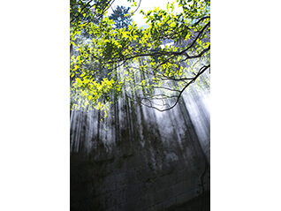 飯沼珠実―建築の瞬間／momentary architecture