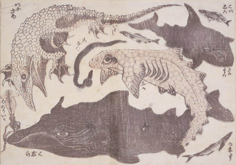 浦上コレクション 北斎漫画：驚異の眼、驚異の筆 うらわ美術館-1