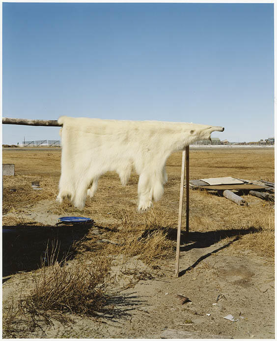 開館25周年記念 石川直樹 この星の光の地図を写す 高知県立美術館-4