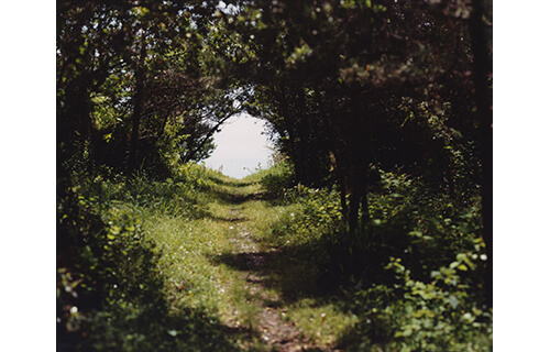 TOPコレクション　たのしむ、まなぶ　イントゥ・ザ・ピクチャーズ 東京都写真美術館-4