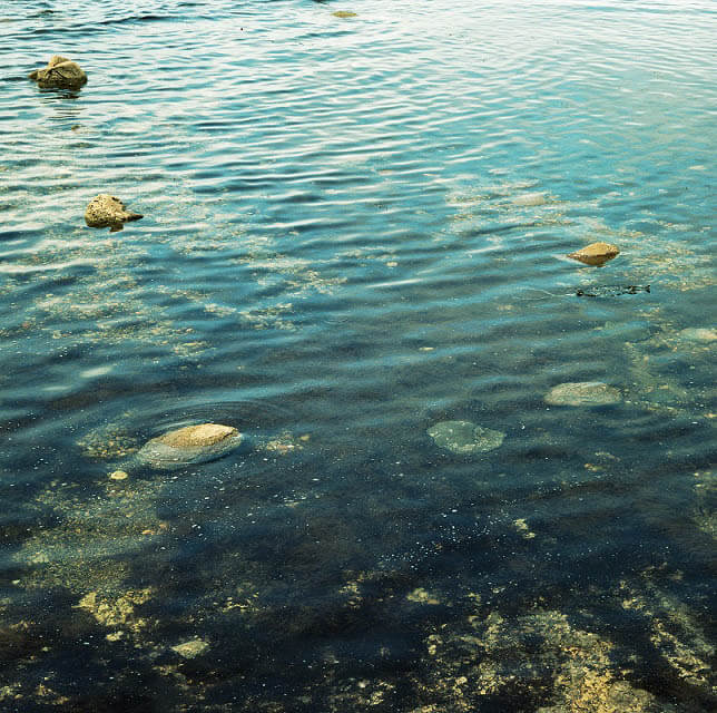 ヴィジョン・オブ・アオモリvol.16－Part1 柿崎真子 | アオノニマス 潜 国際芸術センター青森-1