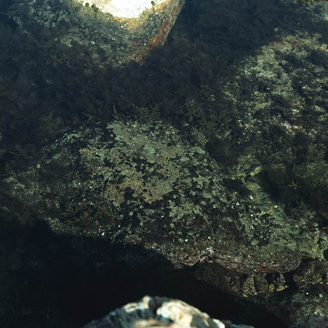 ヴィジョン・オブ・アオモリvol.16－Part1 柿崎真子 | アオノニマス 潜 国際芸術センター青森-2