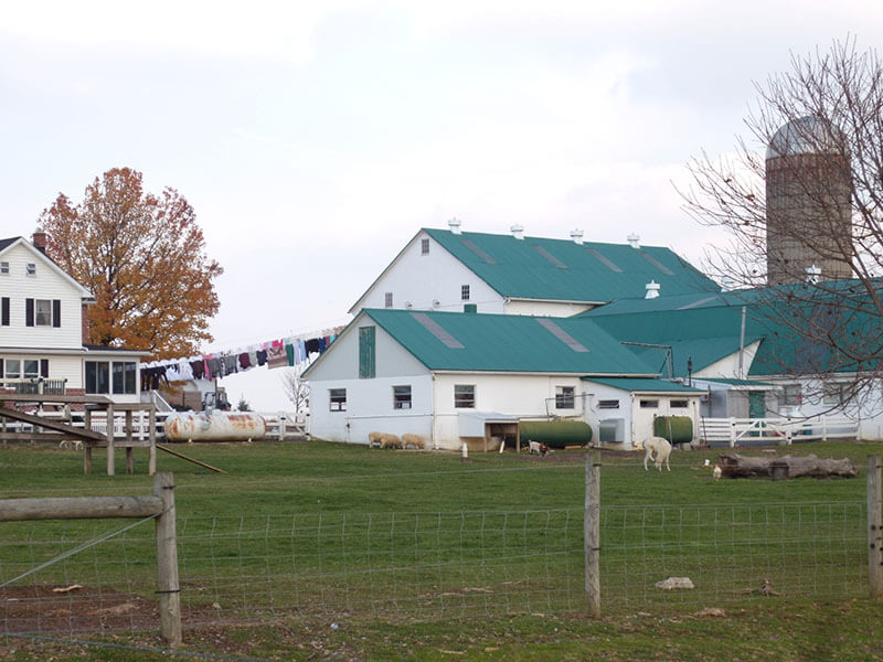 企画展「アーミッシュ・キルトを訪ねて―そこに暮らし、そして世界に生きる人びと」 国立民族学博物館-8