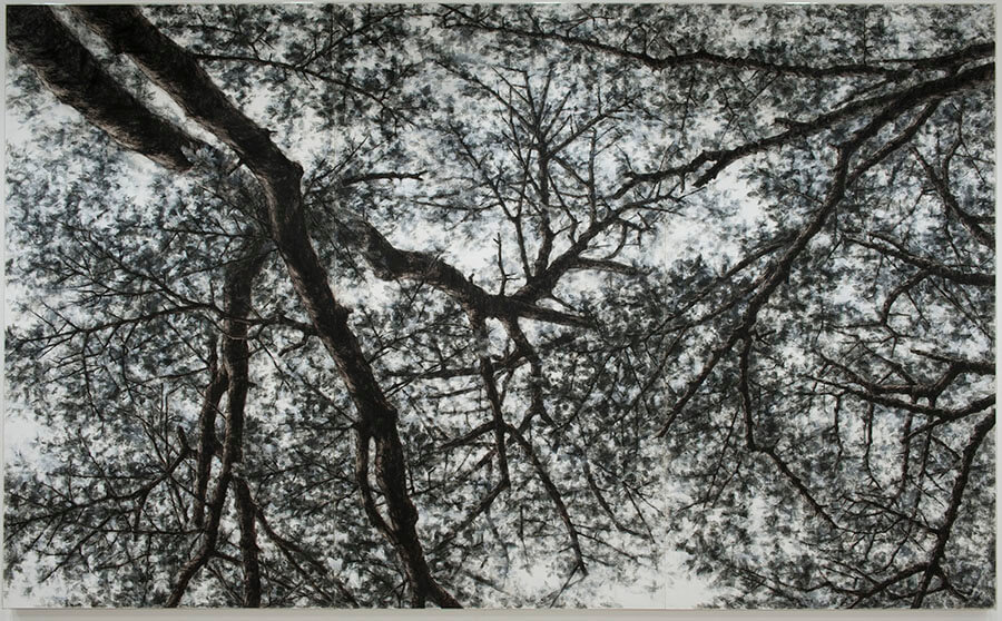 ウェザーリポート 風景からアースワーク、そしてネオ・コスモグラフィア 栃木県立美術館-3