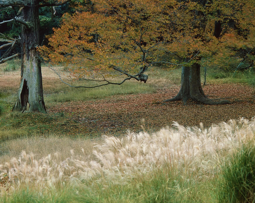 入江泰吉「奈良を愛した文士と高畑界隈」展 入江泰吉記念奈良市写真美術館-6