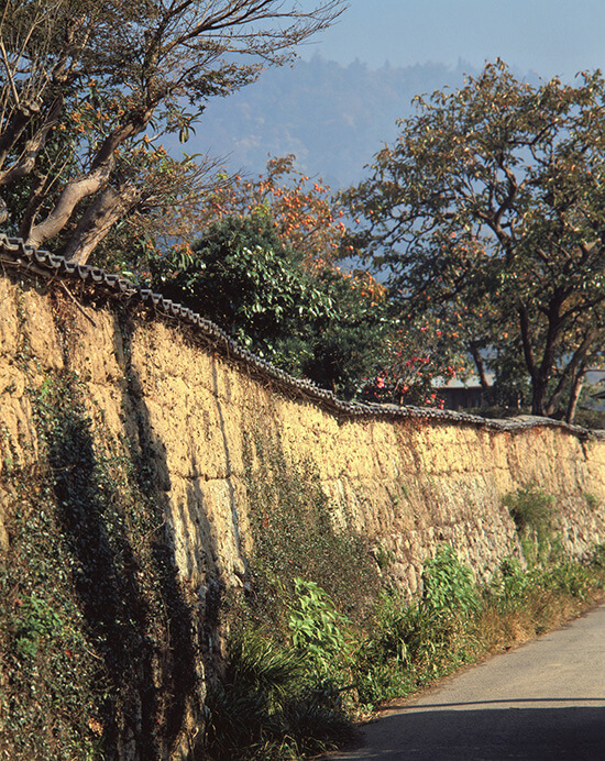 入江泰吉「奈良を愛した文士と高畑界隈」展 入江泰吉記念奈良市写真美術館-7