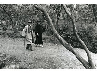 入江泰吉「奈良を愛した文士と高畑界隈」展