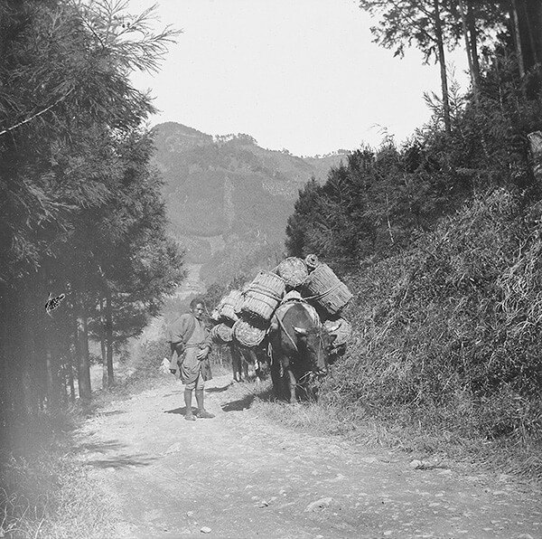 企画展「東京150年」 東京都江戸東京博物館-6