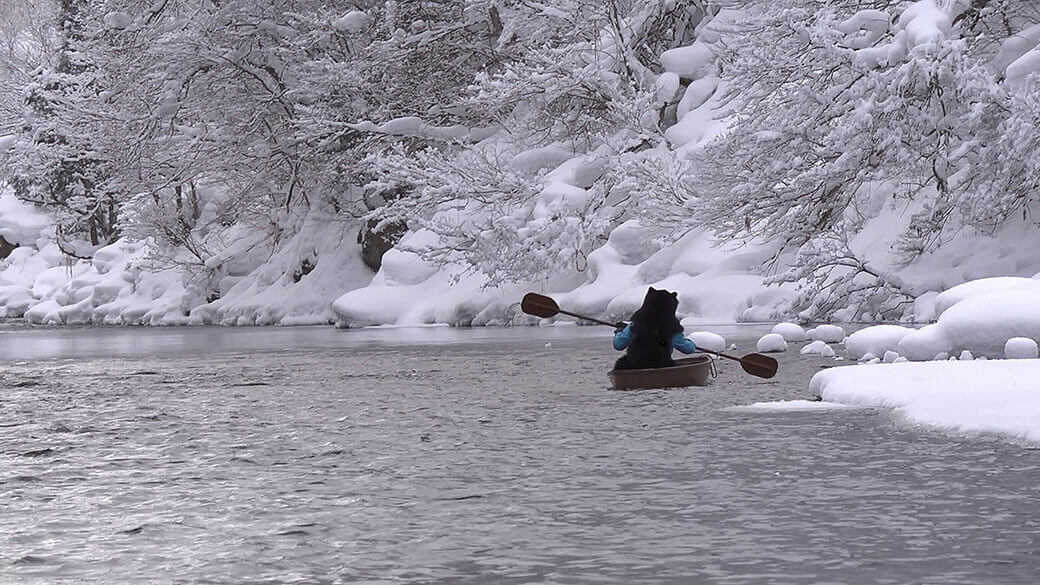 特別展 鴻池朋子 ハンターギャザラー 秋田県立近代美術館-2