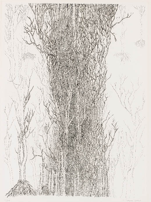 秋季展「山と樹を描く」 中野美術館-7