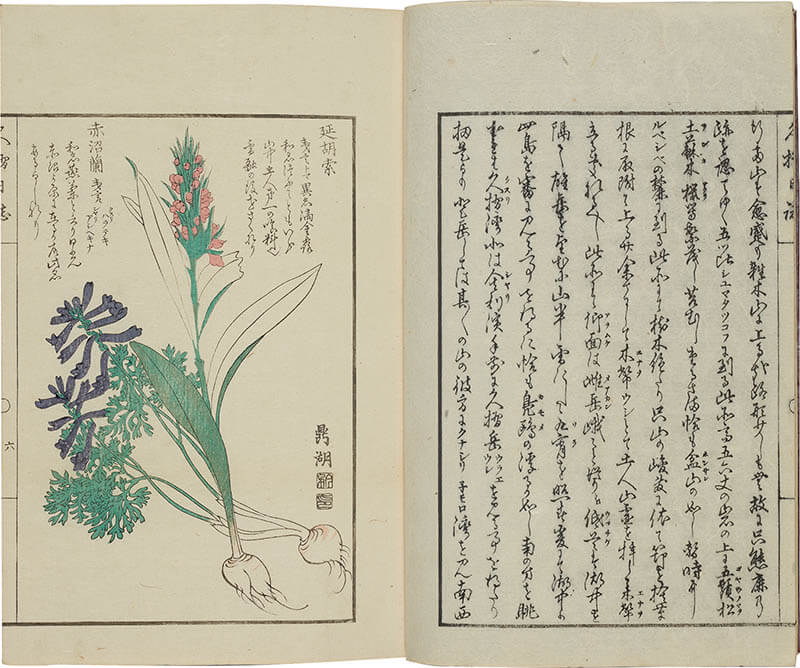 ～生誕200年記念～ 幕末の北方探検家 松浦武四郎展 静嘉堂文庫美術館（静嘉堂＠丸の内）-6