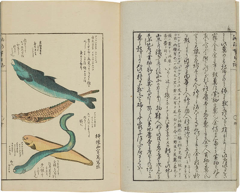 ～生誕200年記念～ 幕末の北方探検家 松浦武四郎展 静嘉堂文庫美術館（静嘉堂＠丸の内）-8