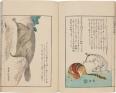 ～生誕200年記念～ 幕末の北方探検家 松浦武四郎展 静嘉堂文庫美術館（静嘉堂＠丸の内）-1
