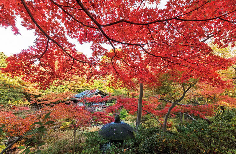 特別展 新・桃山の茶陶 根津美術館-7