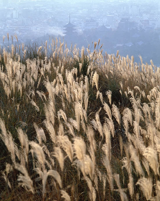 入江泰吉「古都奈良の文化財～興福寺～」展 入江泰吉記念奈良市写真美術館-4