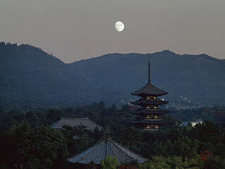 入江泰吉「古都奈良の文化財～興福寺～」展