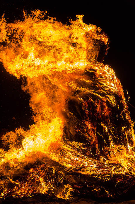 野村恵子×古賀絵里子「Life Live Love」展 入江泰吉記念奈良市写真美術館-9