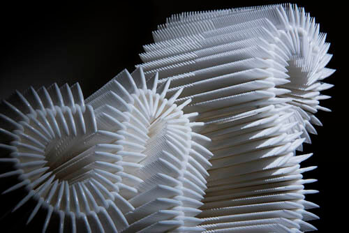 土田泰子展　導～ Whereʼ s a will,thereʼ s a way 平塚市美術館-3