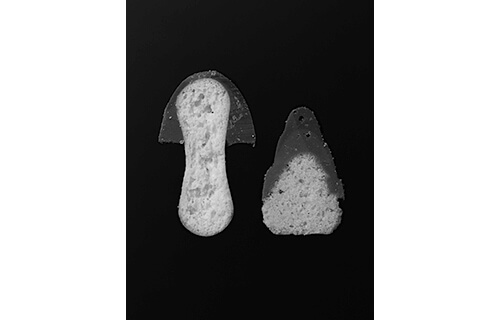 企画展「デザインの解剖展: 身近なものから世界を見る方法」 21_21 DESIGN SIGHT-7