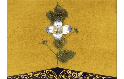 ちひろ美術館コレクション 花の博覧会 安曇野ちひろ美術館-1