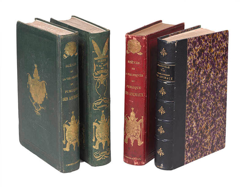 カリカチュールがやってきた 19世紀最高峰の諷刺雑誌 市立伊丹ミュージアム-7