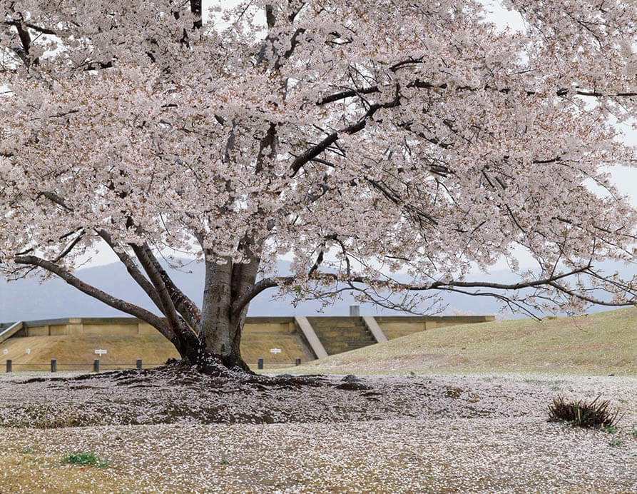 世界遺産登録20周年記念Ⅲ 入江泰吉「古都奈良の文化財～総集編～」展 入江泰吉記念奈良市写真美術館-1