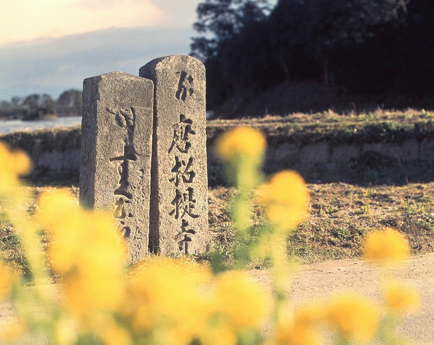 世界遺産登録20周年記念Ⅲ 入江泰吉「古都奈良の文化財～総集編～」展 入江泰吉記念奈良市写真美術館-5