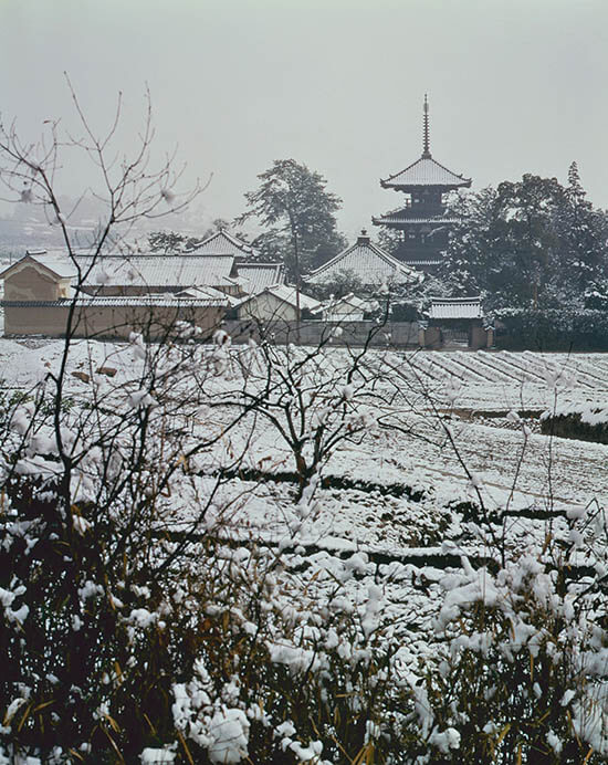  入江泰吉「奈良の世界遺産」展 入江泰吉記念奈良市写真美術館-2